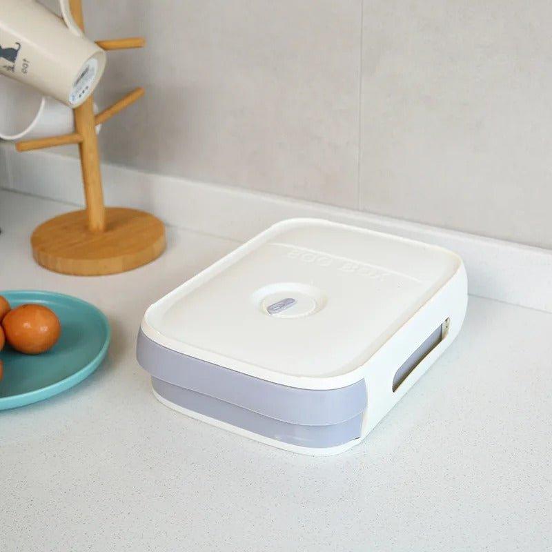 Boite a oeuf - Plastique20 - Cuisitrucs