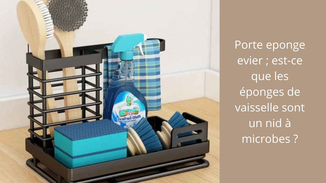 Porte eponge evier ; est-ce que les éponges de vaisselle sont un nid à microbes ?