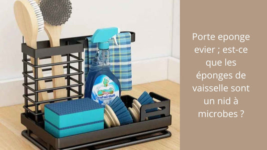 Porte eponge evier ; est-ce que les éponges de vaisselle sont un nid à microbes ?