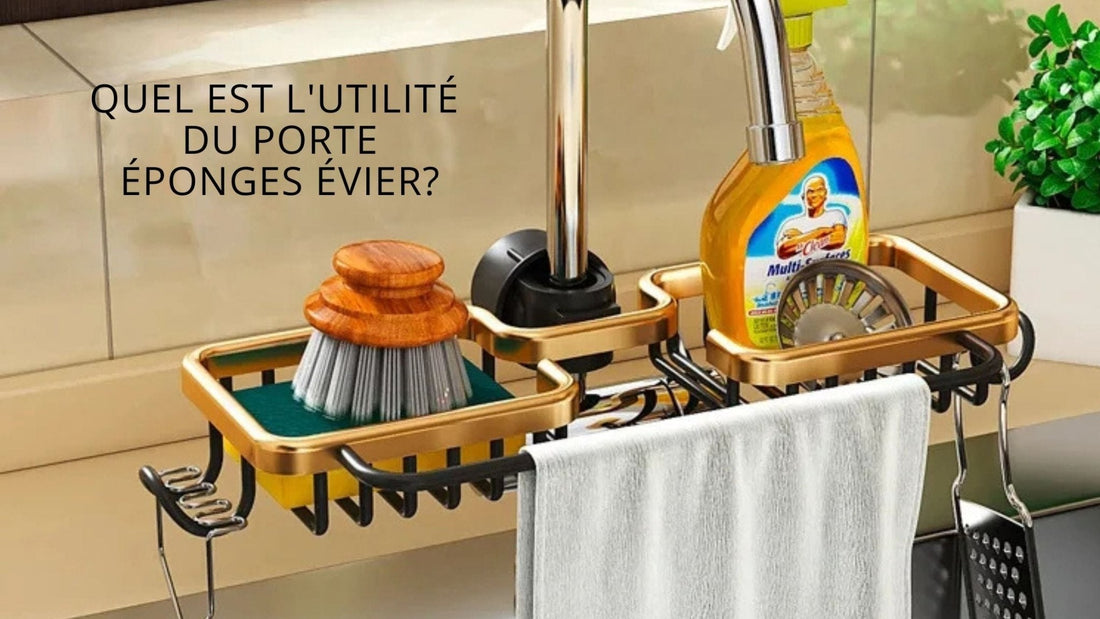 Quel est l'utilité du porte éponges évier?