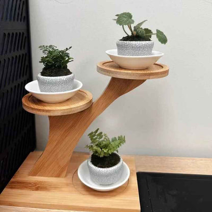 etagere en bois pour cuisine pratique