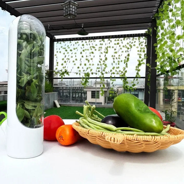 rangement de frigo herbal