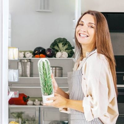 rangement de frigo herbes