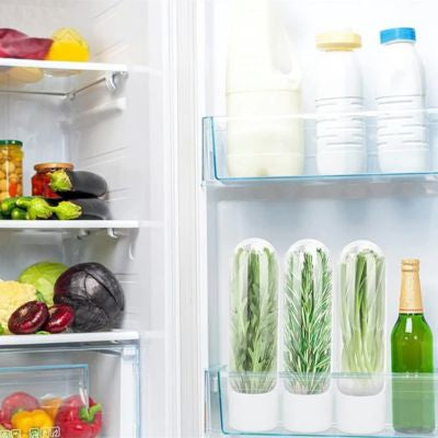 rangement de frigo pour herbes